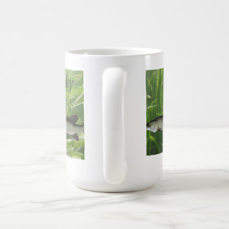 De Café Taza almizclada