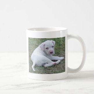 De Café Taza americana del perrito del bulldog