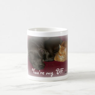 De Café Taza Amigos Perros y Gatos por Siempre