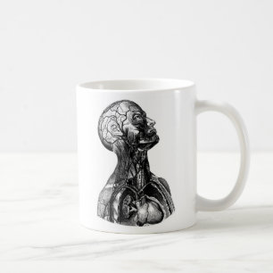 De Café Taza anatómica del dibujo del torso superior