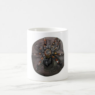 De Café Taza Araña Realista