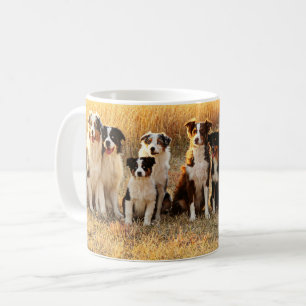 De Café Taza australiana del pastor