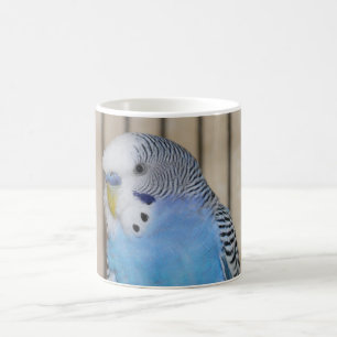 De Café Taza azul del Parakeet