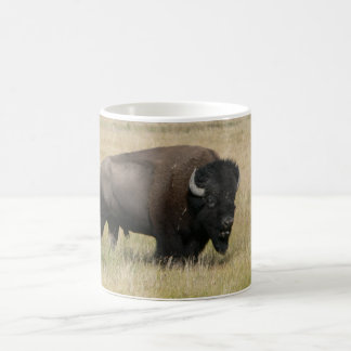 De Café Taza blanca clásica del búfalo