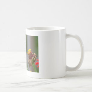 De Café Taza blanca clásica del colibrí