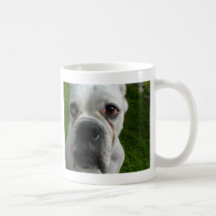 De Café Taza blanca del boxeador