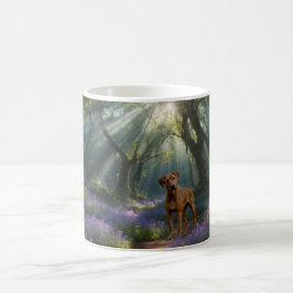 De Café Taza Camino del Bosque – Serenidad y Compañía