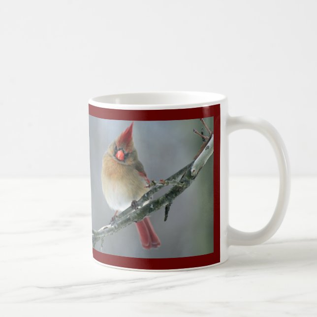 De Café Taza cardinal septentrional (Derecha)