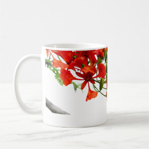 De Café Taza clásica floral Royal Poinciana, Gulmohar