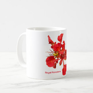 De Café Taza Clásica Royal Poinciana