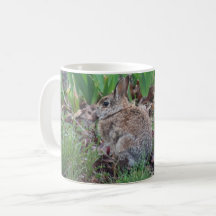 Taza con conejo