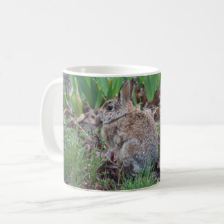 De Café Taza con conejo