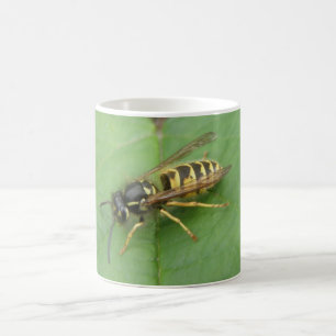 De Café Taza con Mosca Flotante en una Hoja
