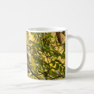 De Café Taza con pájaro en el árbol