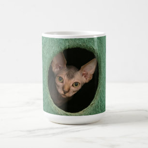 De Café Taza con un gatito lindo del sphynx