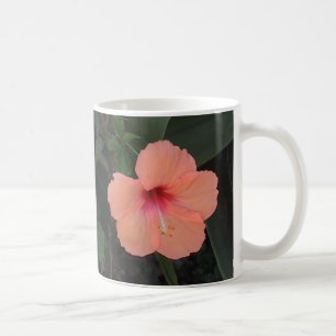 De Café Taza coralina del hibisco