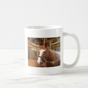 De Café Taza del amante del caballo