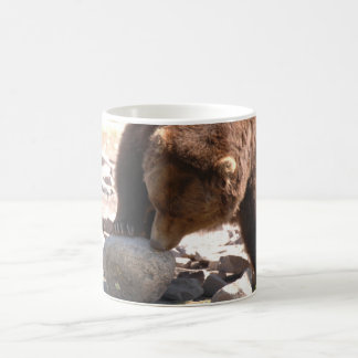 De Café taza del bearball