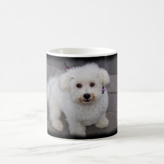 De Café taza del bichon