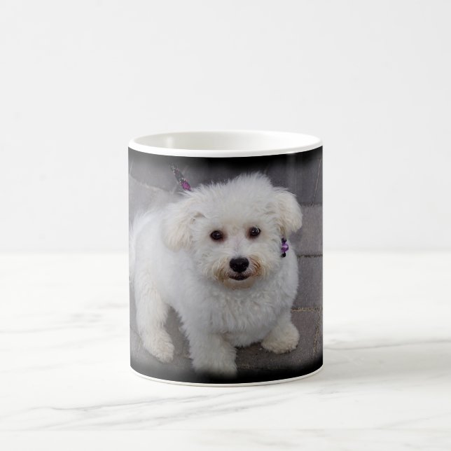De Café taza del bichon (Centro)