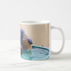 De Café Taza del Bluebird