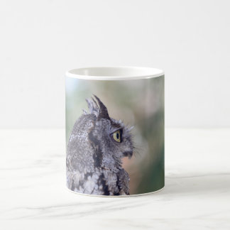 De Café Taza del búho