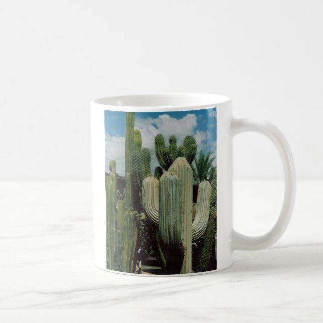 De Café Taza del cactus (Derecha)