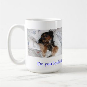 De Café Taza del Cavalier King Charles ¿Te Ves Tan Bien?