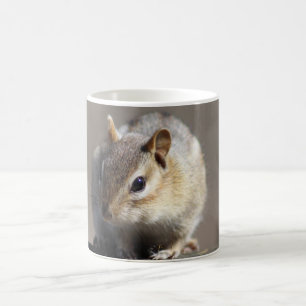 De Café Taza del Chipmunk
