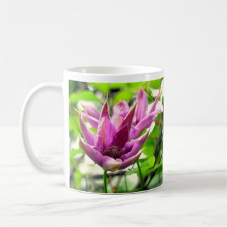 De Café Taza del Clematis