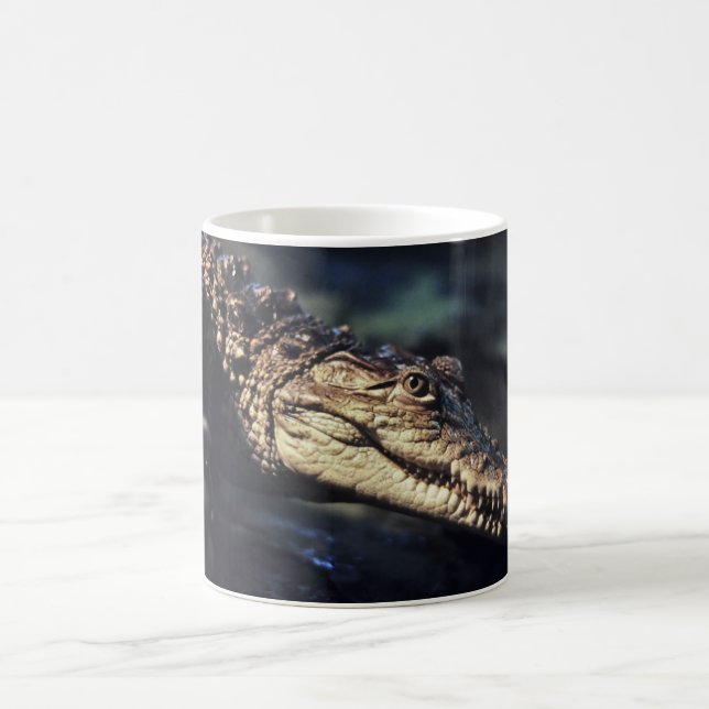 De Café Taza del cocodrilo del caimán (Centro)