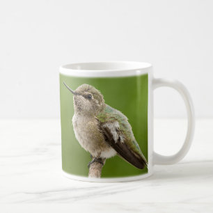 De Café Taza del colibrí