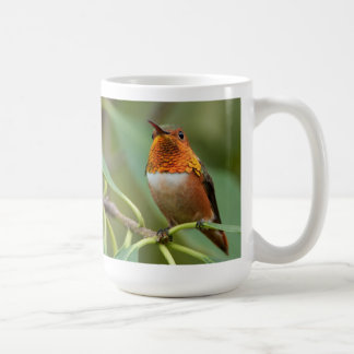 De Café Taza del colibrí