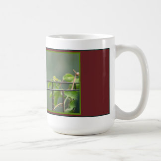 De Café Taza del colibrí