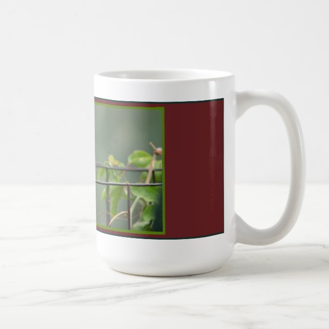 De Café Taza del colibrí (Derecha)