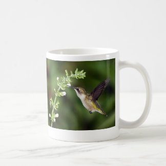 De Café Taza del colibrí 10