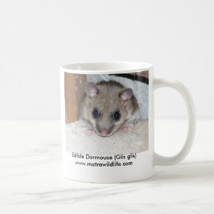 De Café Taza del "Dormouse comestible"