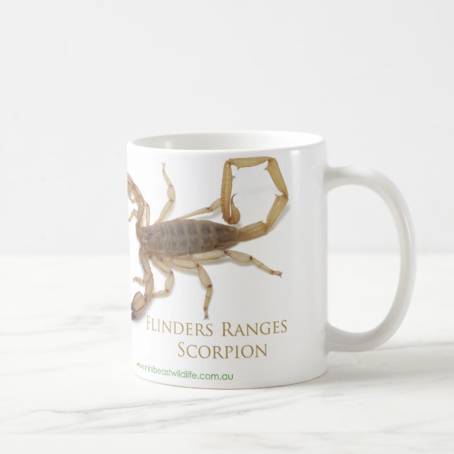 De Café Taza del escorpión (Derecha)