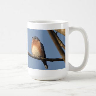 De Café Taza del este del Bluebird