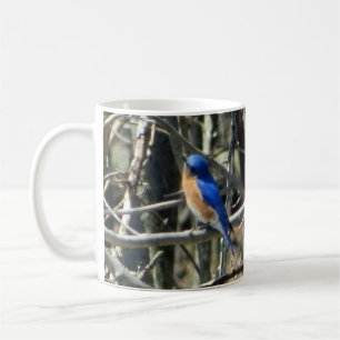 De Café Taza del este feliz del Bluebird