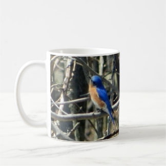 De Café Taza del este feliz del Bluebird