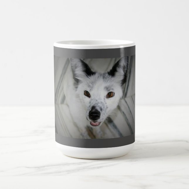De Café Taza del Fox - Boris (Centro)
