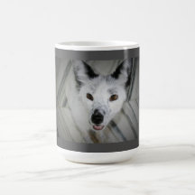 Taza del Fox - Boris