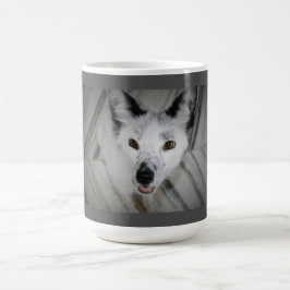 De Café Taza del Fox - Boris