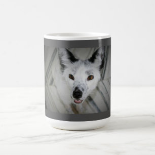 De Café Taza del Fox - Boris