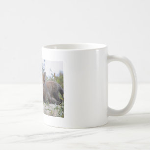 De Café Taza del Fox del bebé
