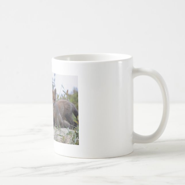 De Café Taza del Fox del bebé (Derecha)
