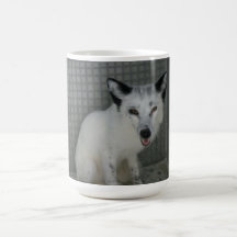 Taza del Fox - embajador Sophia