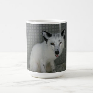 De Café Taza del Fox - embajador Sophia