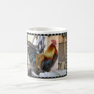 De Café Taza del gallo del corral